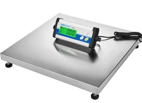 Weight & Mass