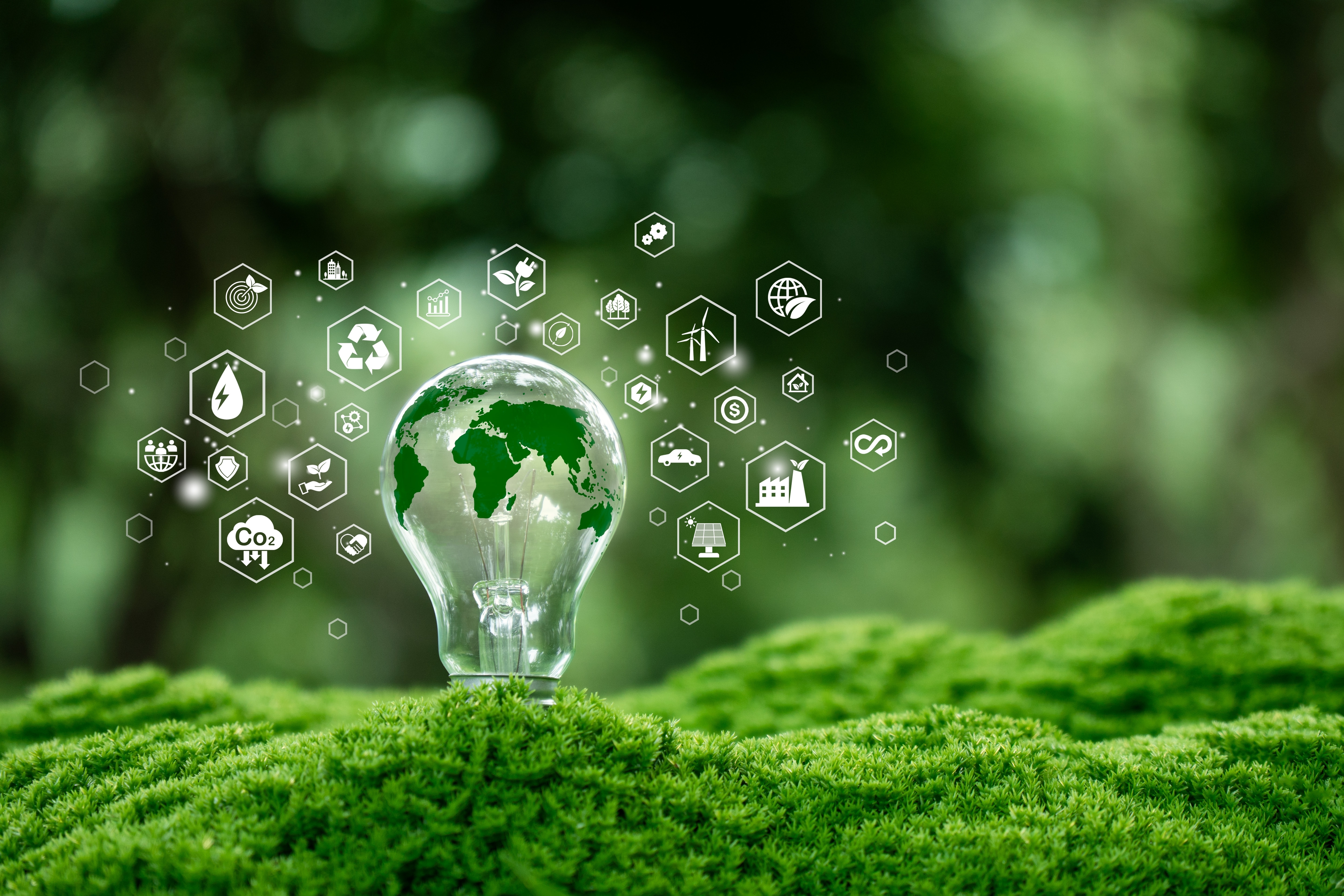 Committed to Sustainability