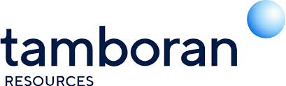 Oil and Gas client logo 8